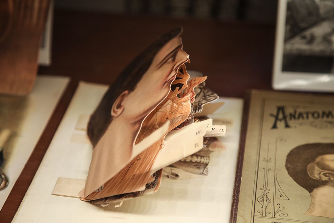 Mostra Pop-App Lab_082.jpg